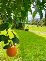 A garden outside Agriturismo Le Grotte
