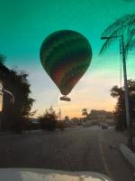 a hot air balloon flying over a street with a palm tree at Bob Marley Peace hotel luxor in Luxor