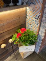 Ảnh trong thư viện ảnh của Ai Dammusi Rooms ở San Vito lo Capo