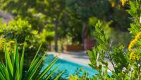 Basen w obiekcie Belle villa provençale avec piscine privée lub w pobliżu