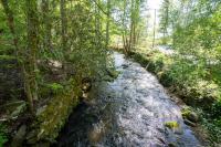 Naturlandschaft in der Nähe des Ferienhauses