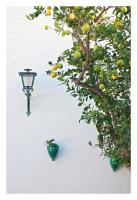 Zahrada ubytování Hostal La Posada