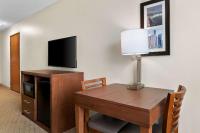 Comfort Inn & Suitesにあるテレビまたはエンターテインメントセンター