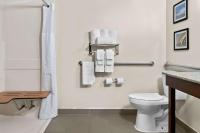 Comfort Inn & Suitesにあるバスルーム