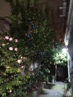 A garden outside L'attico di Val.