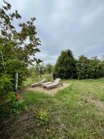 Vonkajšia záhrada v ubytovaní MAISON ATYPIQUE AVEC JARDIN AU PIED DU CLOS LUCE