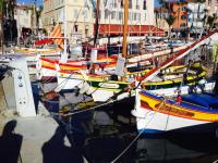 a bunch of boats are docked in a harbor at Les Lones avec jardin in Six-Fours-les-Plages