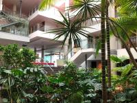 Jardín al aire libre en Port Elche