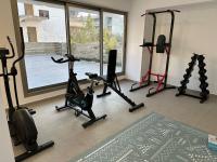 Fitness centrum a/nebo fitness zařízení v ubytování Aurum Residence by Nomads