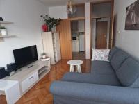 Televízia a/alebo spoločenská miestnosť v ubytovaní "Apartment Zagreb Idila Center", with a balcony, speed WiFi