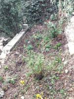 Vonkajšia záhrada v ubytovaní Maison de charme à Vachères avec jardin et vue montagne