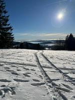 Příroda nedaleko apartmánu