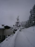 Apartment Haus Starfach v zime