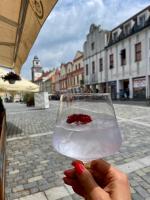 Nápoje v ubytování Apartmány Třeboň BÍLÝ BERÁNEK