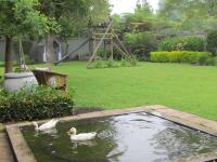 two ducks swimming in a pond in a yard at Caledon 31 in George