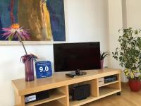 TV a/nebo společenská místnost v ubytování New & Sunny Apartment