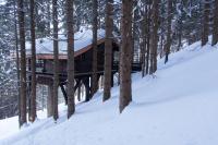 a log cabin in the snow next to some trees at Cabane entre terre et ciel in Saint-Nicolas-la-Chapelle