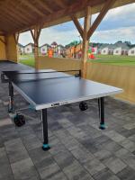 Stolný tenis v ubytovaní Kwiat Paproci alebo v jeho okolí