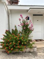 Vonkajšia záhrada v ubytovaní Vidučić Apartments