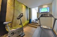 Fitness centrum a/nebo fitness zařízení v ubytování Best Western Premier Hotel Victoria