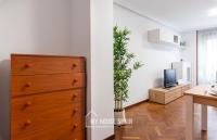 A television and/or entertainment centre at MyHouseSpain - Amplio apartamento en el centro de Oviedo