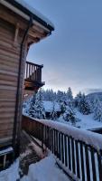 Obiekt Luxueux chalet avec terrasse Auron zimą