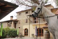 Jazda na koni pri in country house alebo okolí