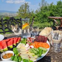 een kat die op een tafel zit met een bord eten bij Dom Krawca,Schneiderbaude in Kłodzko