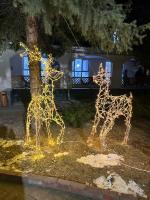 Tres jirafas iluminadas con luces frente a una casa en Квартира Студия 21 9 в Raduga West, en Koshkolʼ