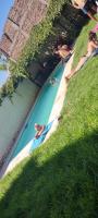 a group of people swimming in a pool of water at Windmill Hostel in Mendoza