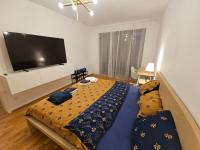 TV a/nebo společenská místnost v ubytování Vltava River Apartment