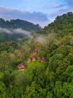 una vista aérea de una casa en medio de un bosque en ORANGUTANTREKSUMATRA &amp; LOVELY JUNGLE LODGE only book IF you are treking with us, en Bukit Lawang