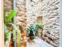 Zahrada ubytování Ganganell Centre Apartamento con Patio