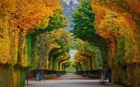 A garden outside Comfortable romantic 1 bedroom apartment near Augarten