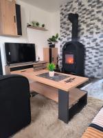TV a/nebo společenská místnost v ubytování Welness, Holiday Cheb-Skalka