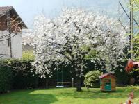 Ogród w obiekcie La casa di Clara