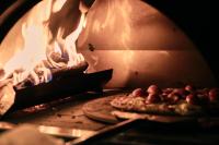 Billede fra billedgalleriet på Lodge El Remanso, Patagonia Chile i Llanada Grande