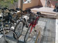 Jazda na bicykli v okolí ubytovania Apartments Antonija