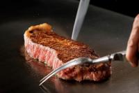 Fotografie z fotogalerie ubytování Premier Hotel Nakajima Park Sapporo v destinaci Sapporo