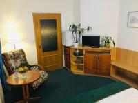 TV a/nebo společenská místnost v ubytování Penzion Hotelu Central