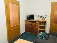 TV a/nebo společenská místnost v ubytování Penzion Hotelu Central