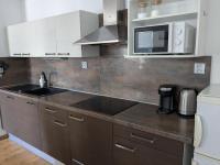 Kuchyňa alebo kuchynka v ubytovaní APARTMÁN BRATISLAVA city & parking