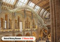 a skeleton of a dinosaur in a museum at Astor Hyde Park Hostel in London