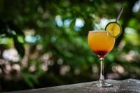 Drinks på Cirandeira Amazon World EcoResort