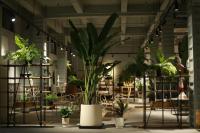 una habitación llena de muchas plantas en macetas en Nanyue Shiba B&B, en Quanzhou