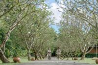 Zahrada ubytování Splash Beach Resort, Maikhao Phuket - SHA Extra Plus