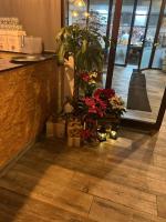 een toonbank met bloemen en planten in een winkel bij Olivo de Reis in Caldas de Reis