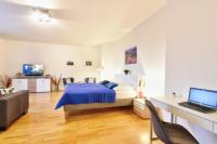 TV a/nebo společenská místnost v ubytování Karlsbad Apartment