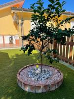A garden outside Villa Karillos