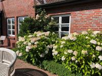 Zahrada ubytování Landhaus Greetsiel am Hafen "Meeresbrise"